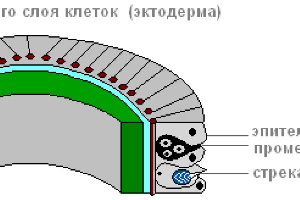 Кракен сайт kraken014 com