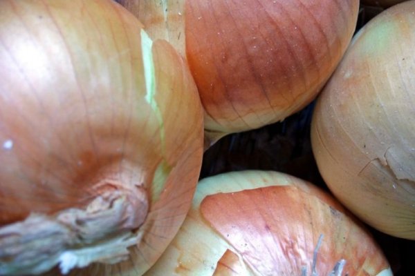 Зеркало кракен