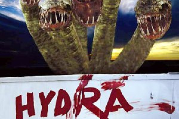 Hydra через tor hydra ssylka onion com
